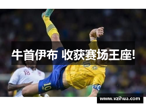 牛首伊布 收获赛场王座!